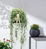 Smiley™ - Schaukelnder Blumentopf